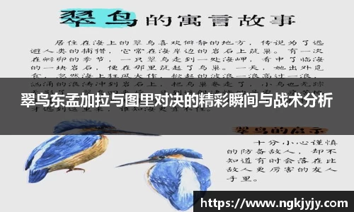 雷火电竞官网