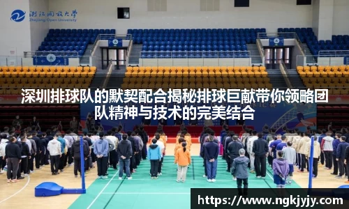 深圳排球队的默契配合揭秘排球巨献带你领略团队精神与技术的完美结合